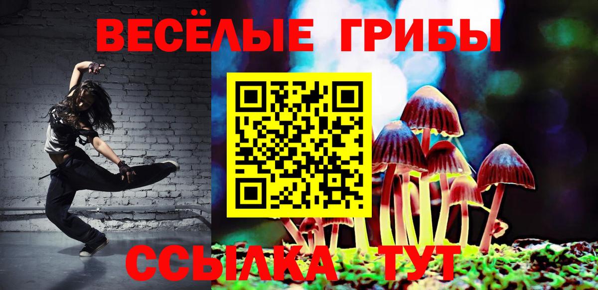 Псилоцибиновые грибы Psilocybine cubensis Кудымкар