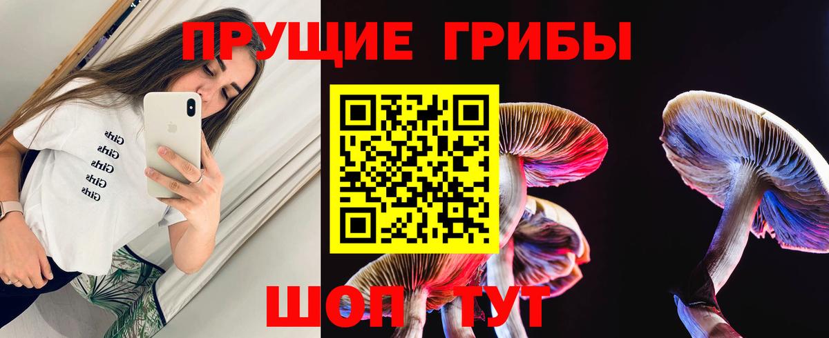Псилоцибиновые грибы Cubensis  Вход с VPN  Кудымкар  Галлюциногенные грибы Magic Shrooms 